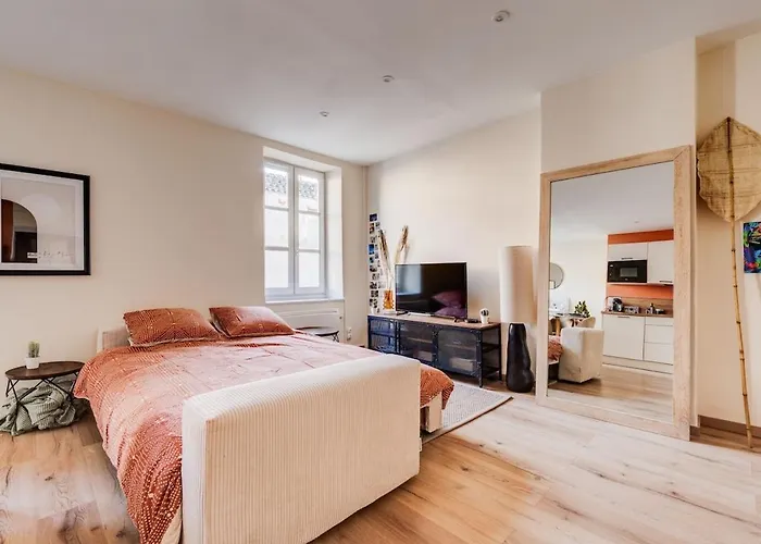 Apartment Chez Seb - Raffine Et Accueillant Carcassonne